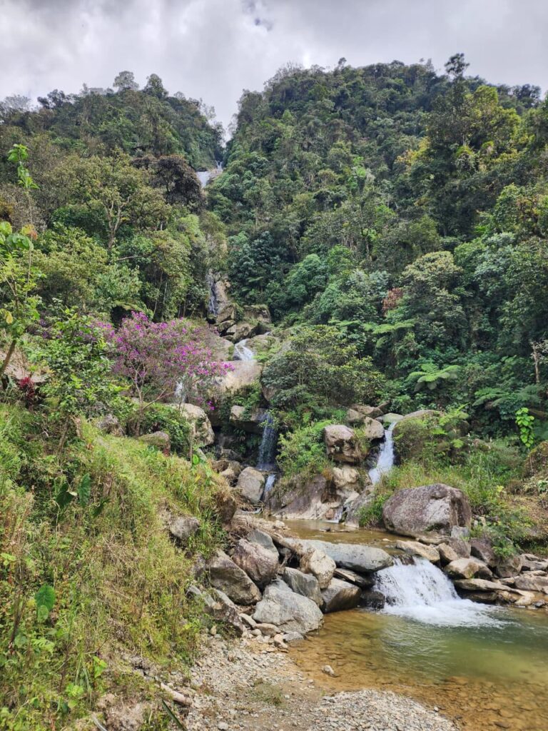 WhatsApp Image 2025-12-12 at 1.33