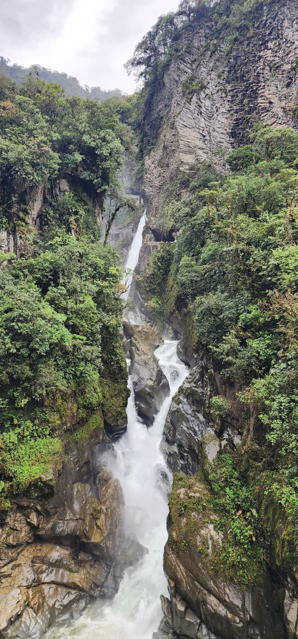 WhatsApp Image 2025-12-12 at 1.36