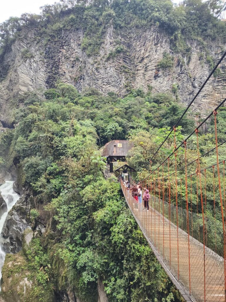 WhatsApp Image 2025-12-12 at 1.36